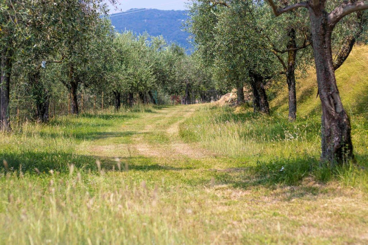 Casa Mandello Διαμέρισμα Salò Εξωτερικό φωτογραφία