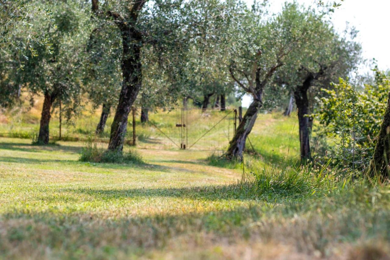 Casa Mandello Διαμέρισμα Salò Εξωτερικό φωτογραφία